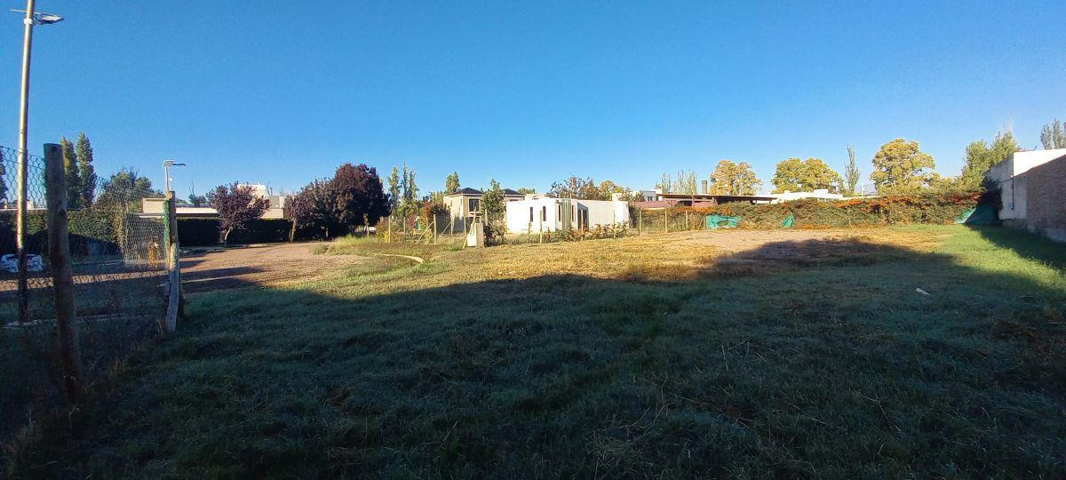 Lote en Venta, Chacras de Coria, Luján de Cuyo, Mendoza!