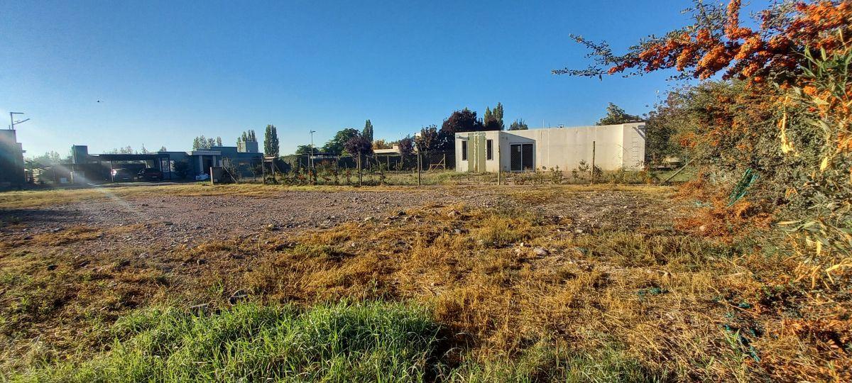 Lote en Venta, Chacras de Coria, Luján de Cuyo, Mendoza!