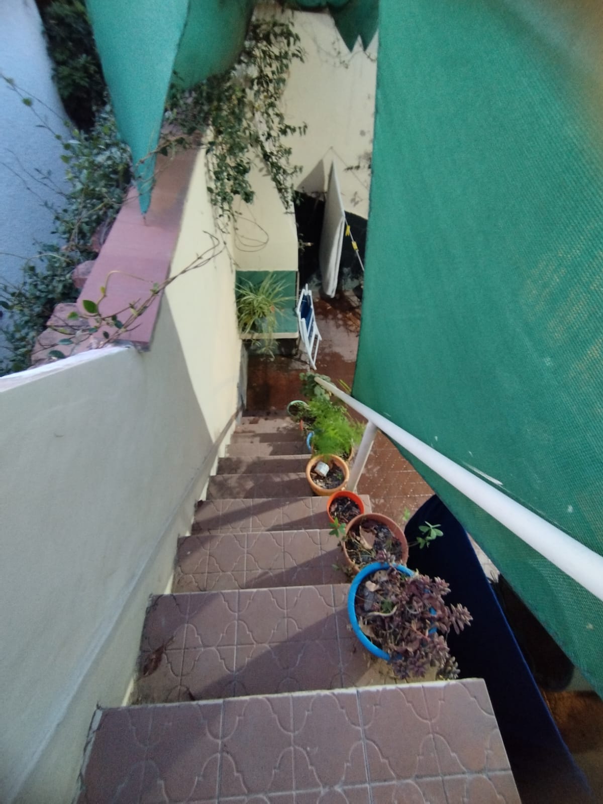 Casa a Reciclar – Gargiulo 2253 – Benegas, Godoy Cruz