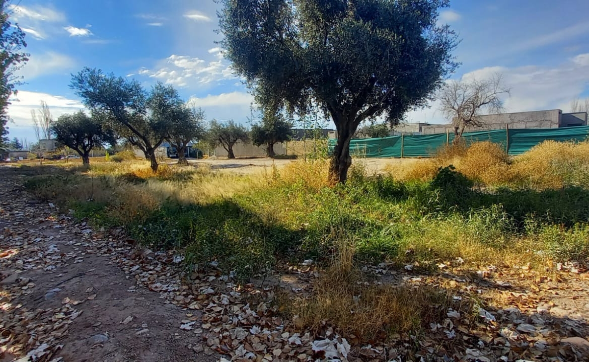 Lote en Venta, Bº Suelos de Tropero, Coquimbito, Maipú