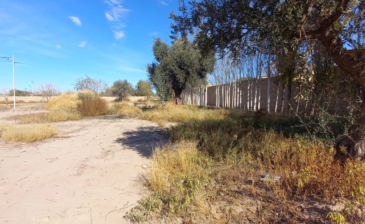 Lote en Venta, Bº Suelos de Tropero, Coquimbito, Maipú