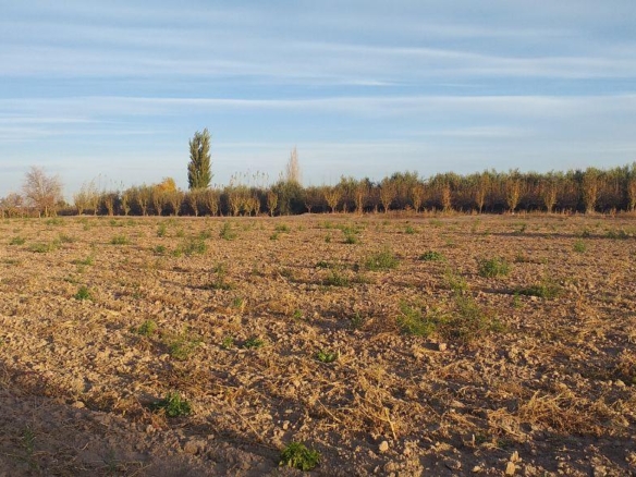 Lote Ruta 60 y Zanetti, Maipu Mendoza Destacado En venta