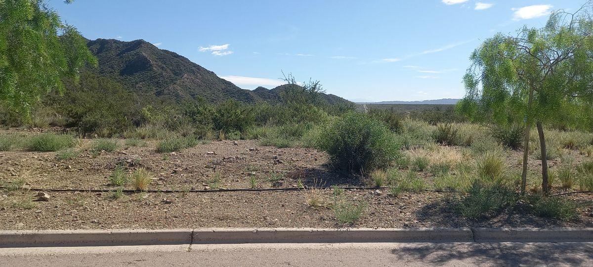 17 Lote en Venta Barrio Mendoza Norte Las Heras
