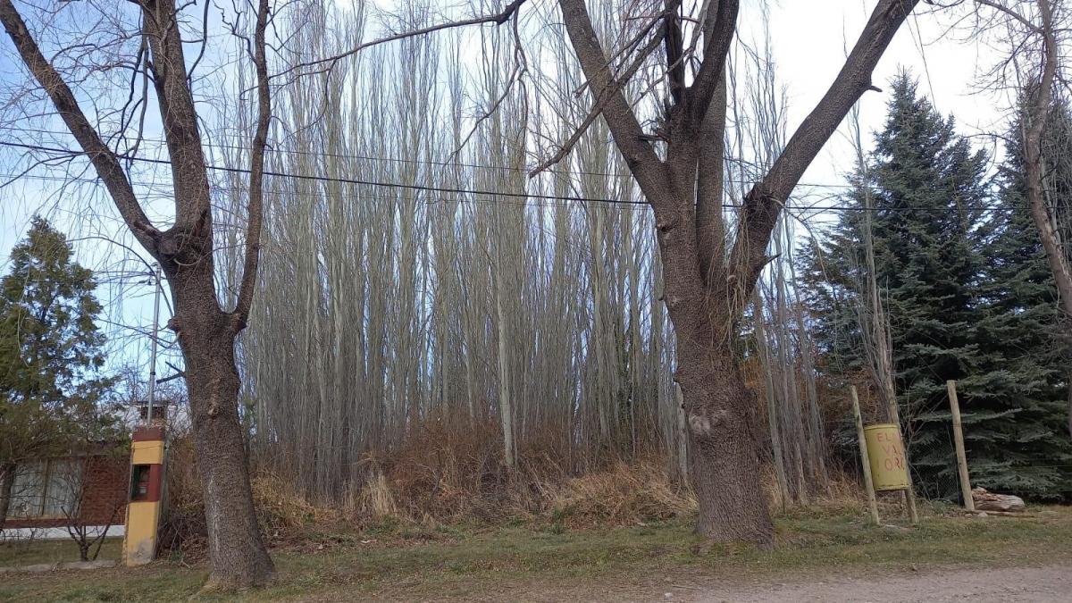 Lote en Venta – Manzano Historico