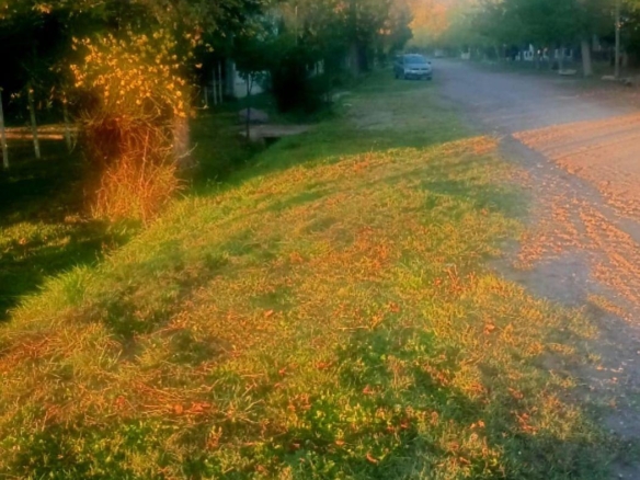 Lote en Venta – Manzano Historico