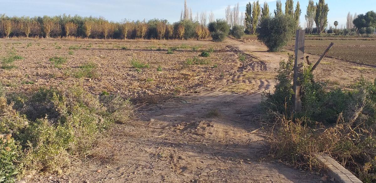Lote Ruta 60 y Zanetti, Maipu Mendoza Destacado En venta