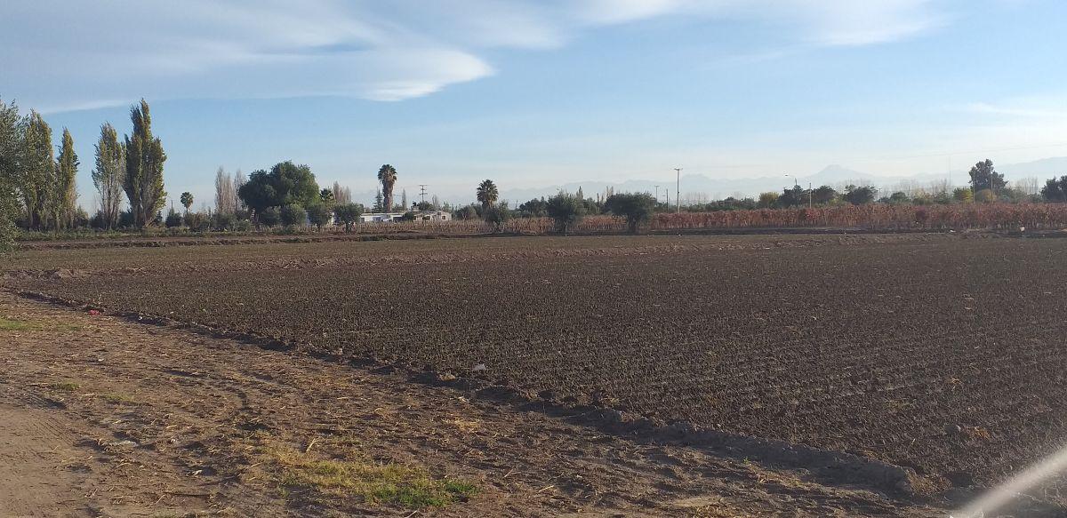 Lote Ruta 60 y Zanetti, Maipu Mendoza Destacado En venta