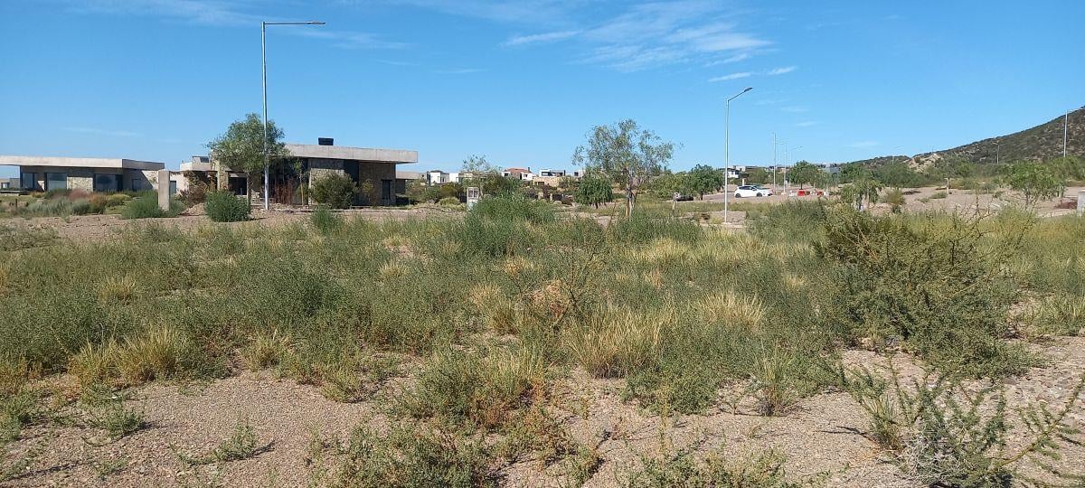 8 Lote en Venta Barrio Mendoza Norte Las Heras