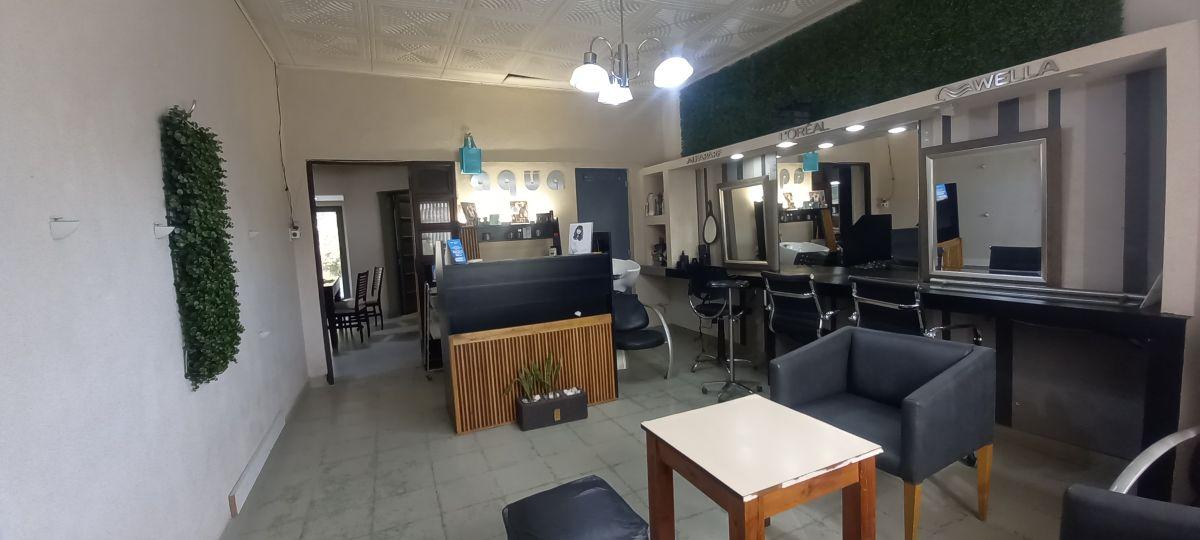 c Casa a Reciclar en Venta, Calle Damian Hudson, Ciudad, Mendoza