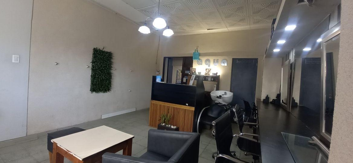 Casa a Reciclar en Venta, Calle Damian Hudson, Ciudad, Mendoza